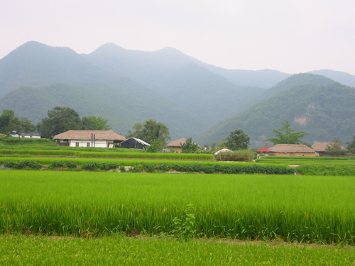 遭遇“三大难”掣肘 农村治污亟需科学引导