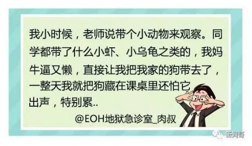 “老师说带一条小鱼来观察”炸出一堆段子手，谁的童年不辛酸？