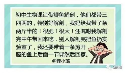 “老师说带一条小鱼来观察”炸出一堆段子手，谁的童年不辛酸？