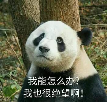 老师说带一条小鱼来观察，可为什么我的和别人不一样？