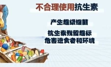 麦当劳用的抗生素食材是什么鬼？中国爸妈都应该了解的内幕