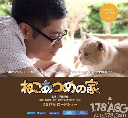 喵喵喵？「猫咪收集」要拍真人版？！一个全是猫咪的电影！