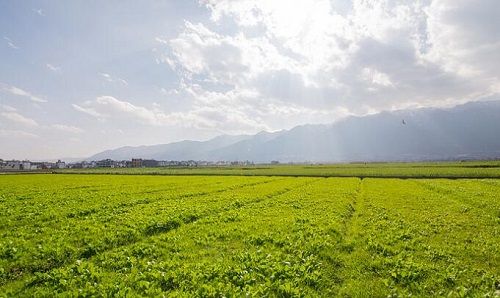 空间广阔难掩规模过小尴尬 土壤修复且行且破局