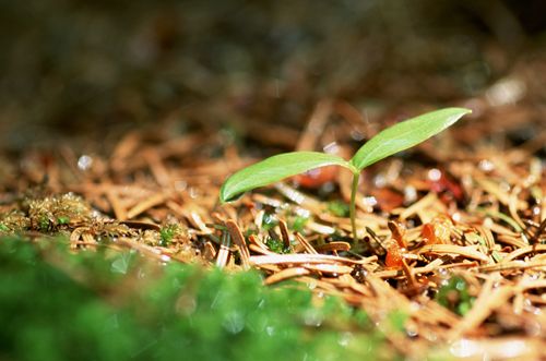 按照“压茬式”轮换 第二轮环保督察渐次铺开