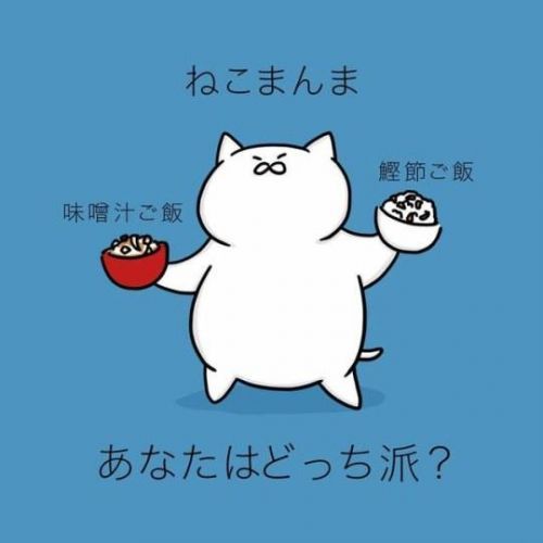 《深夜食堂》猫饭大考据 你爱吃哪种猫饭呢