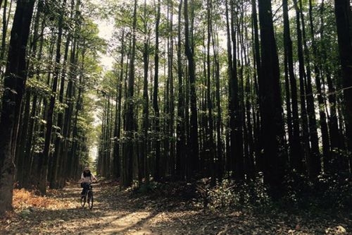 台湾六大免费热拍景点 台版马尔代夫夏日必去