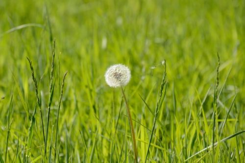 金隅花石匠2室1厅1卫100㎡地中海