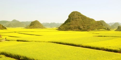 尚峯壹號3室2厅2卫110㎡地中海