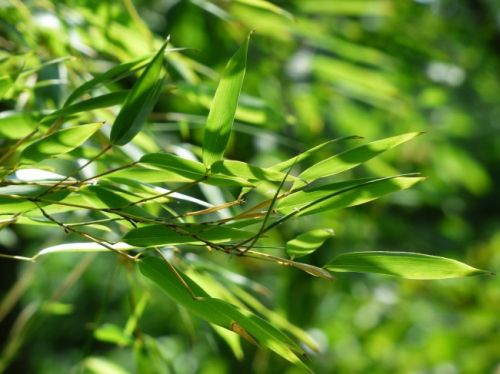 蓝湖君山别墅350㎡简欧风