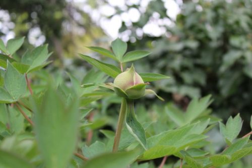 花样年华2室2厅1卫90㎡地中海