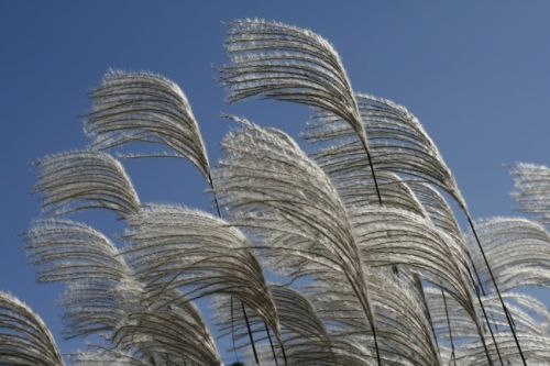 细节决定成败现代简约设计造型