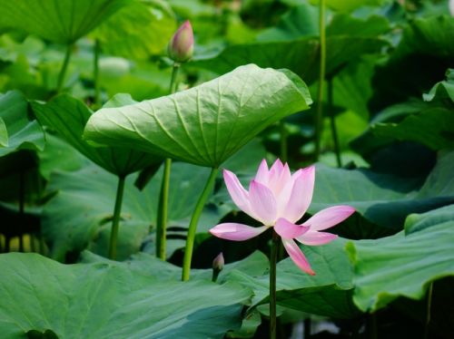 【轻舟装饰】金泰丽湾（135平）简欧风格案例赏析