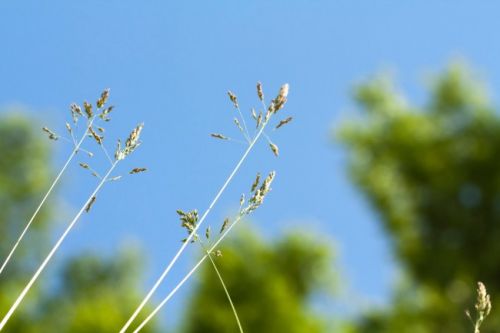 浅山香邑3室2厅2卫126㎡新古典后现代