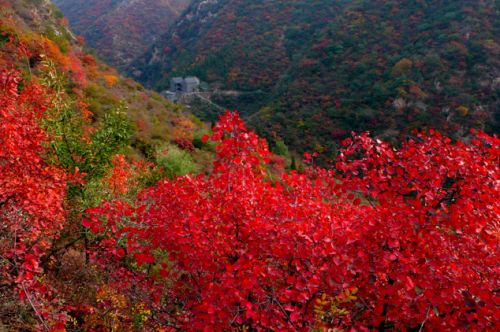 花家地北里简欧 今朝装饰