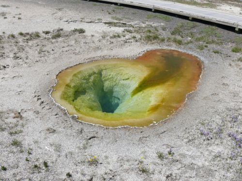 远洋沁山水3室2厅2卫120㎡美式