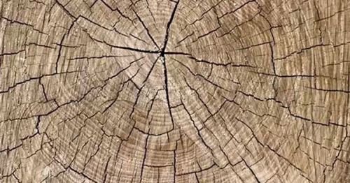 合生雅居：实木家具开裂就是质量问题吗？不一定！