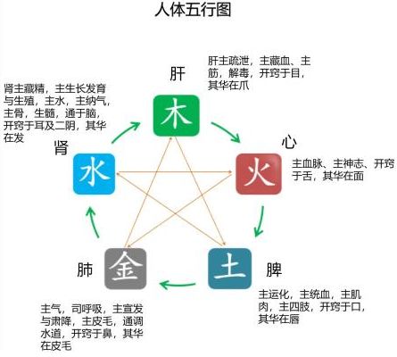 中医所说的失眠是指什么？